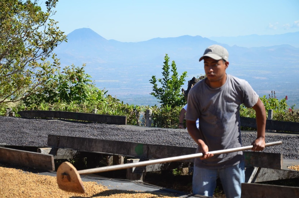 Cafea de specialitate boabe El Salvador El Divisadero