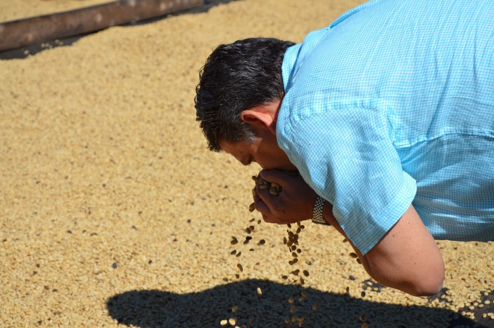 Cafea boabe de specialitate El Salvador El Divisadero