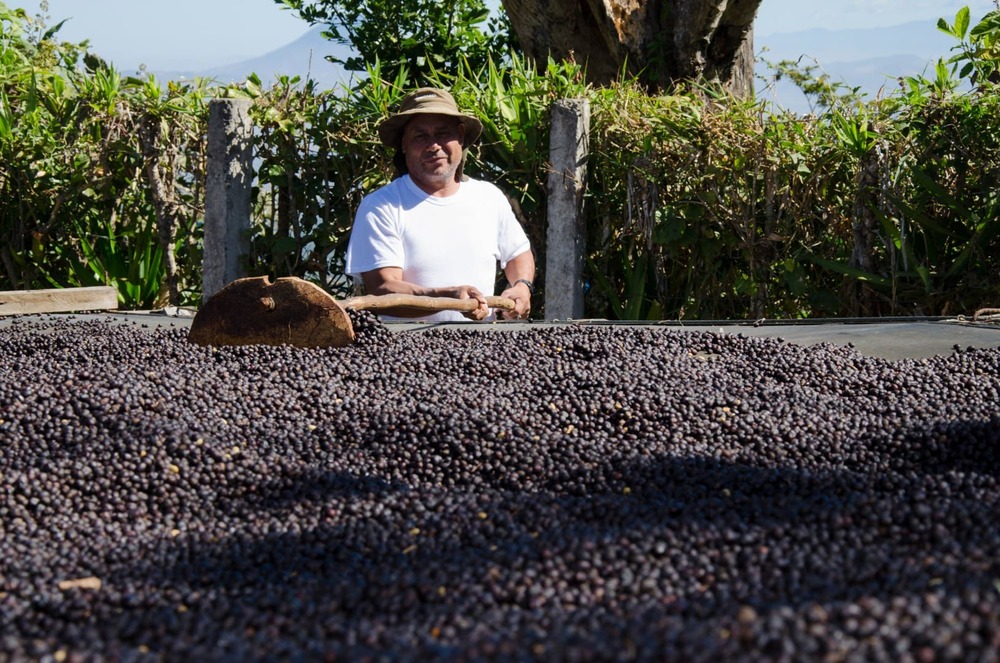 Cafea boabe de specialitate El salvador El Divisadero