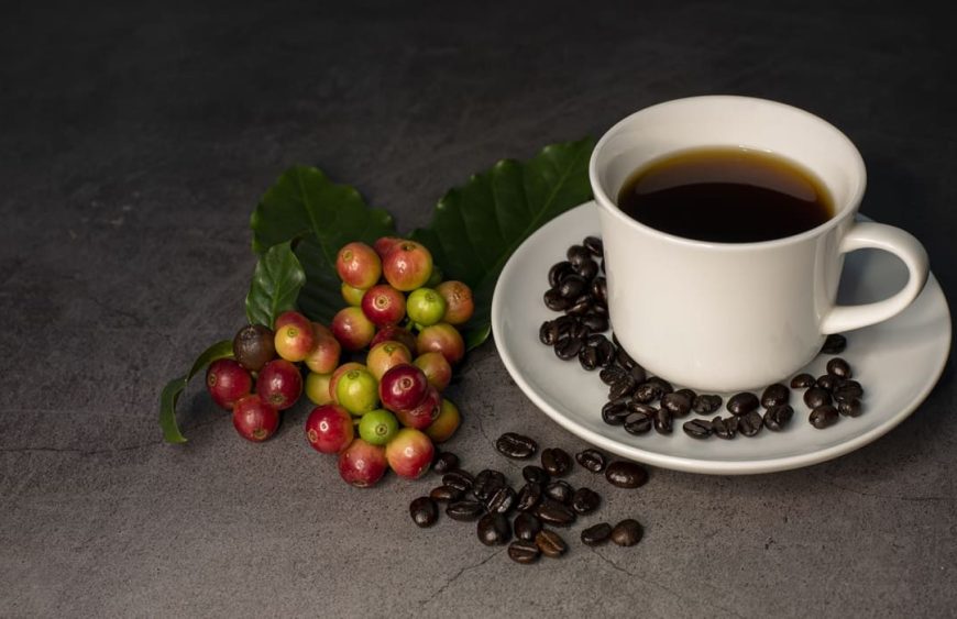 drumul plantatie ceasca cafea