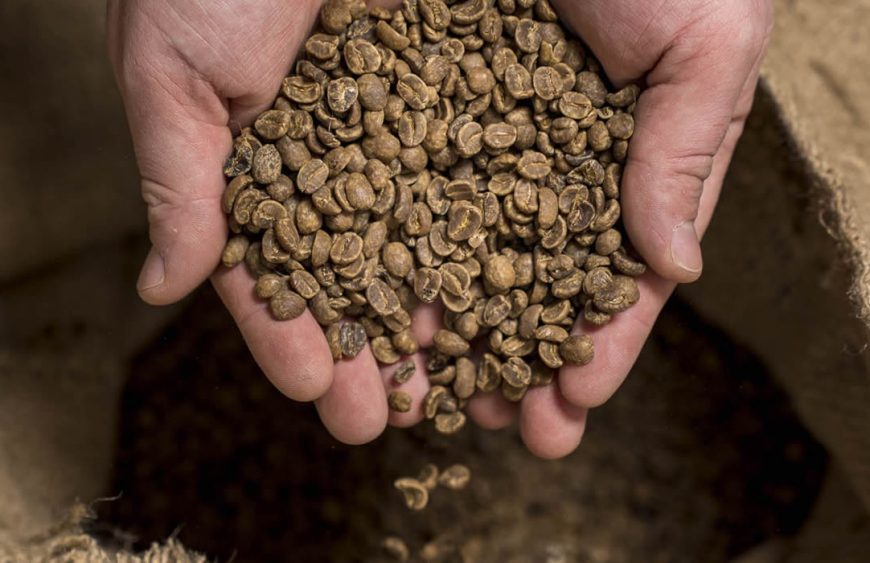 metode de procesare ale cafelei verzi