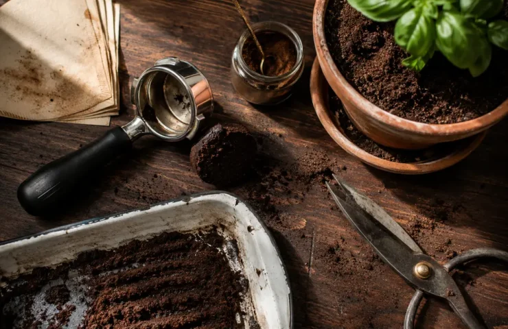 zaț de cafea încorporat în pământul dintr-un ghiveci