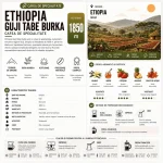 Ethiopia Guji Tabe Burka - Cafea de Specialitate